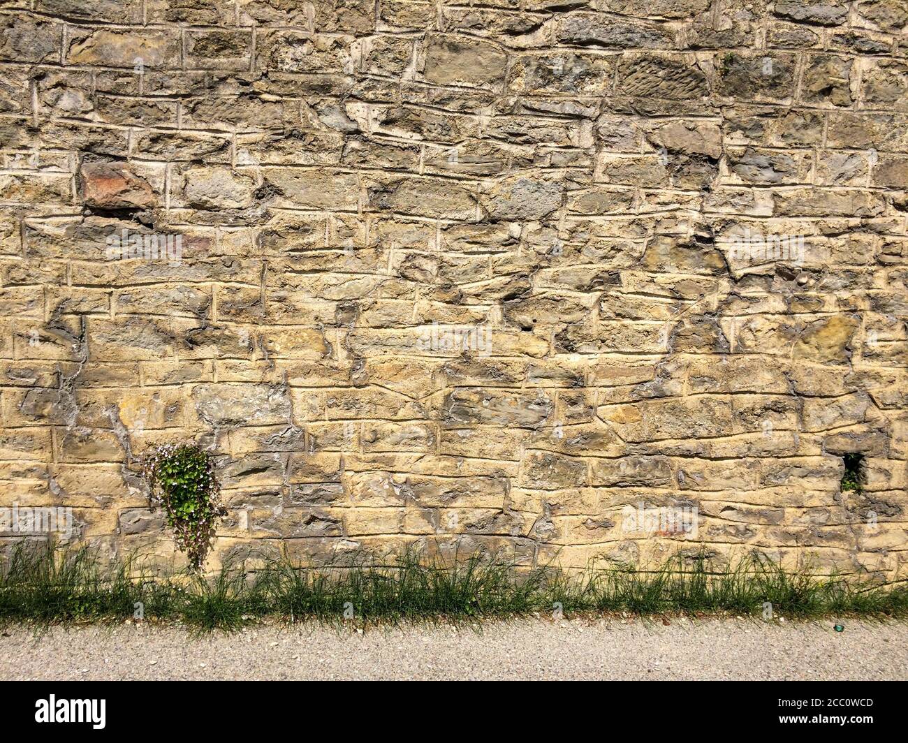 Bronze age stone wall texture invaded by some green grasses Stock Photo