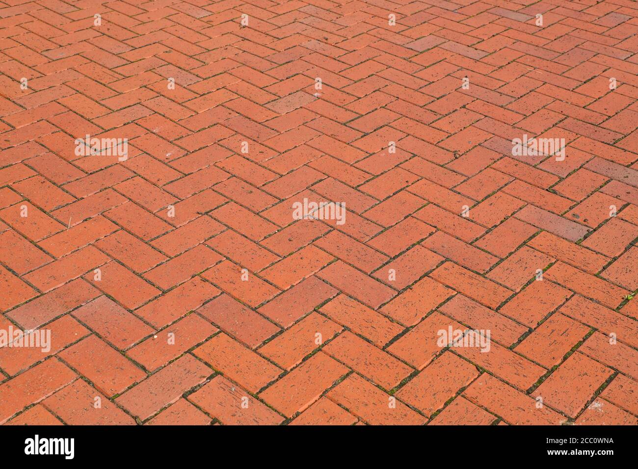 Coaldale Block street pavers line a walkway at Spring Hill College, Aug.  22, 2020, in Mobile, Alabama. The red clay bricks were made by Coaldale  Brick Stock Photo - Alamy