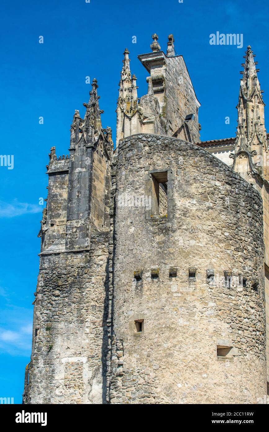 France, Gironde, HauteLande girondine, Blaze, dungeon next to the