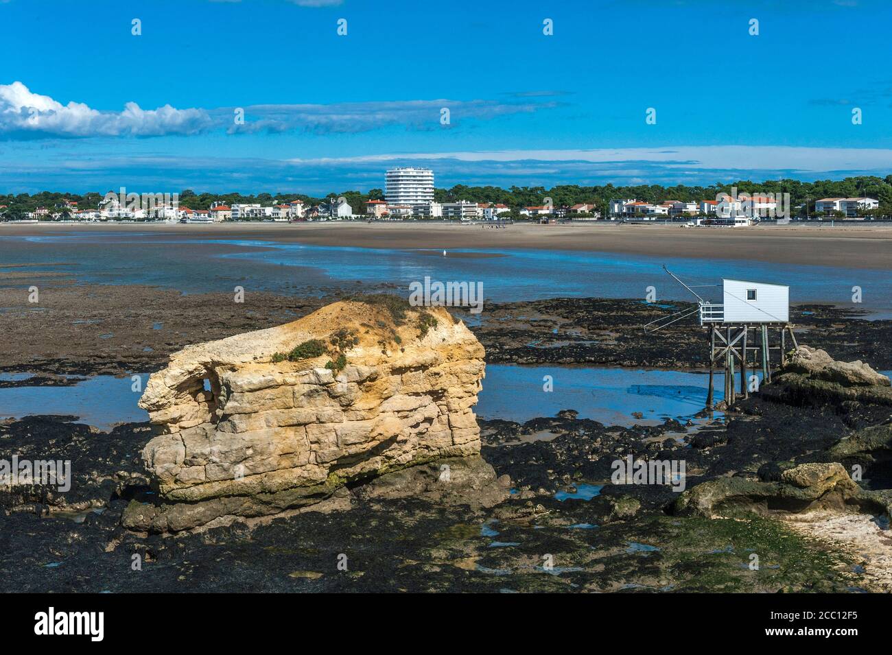 France, CharenteMaritime, Saint de Didonne, the rock of l'ile aux Mouettes (Seagull France, CharenteMaritime, Saint de Didonne, the rock of l'ile aux Mouettes (Seagull