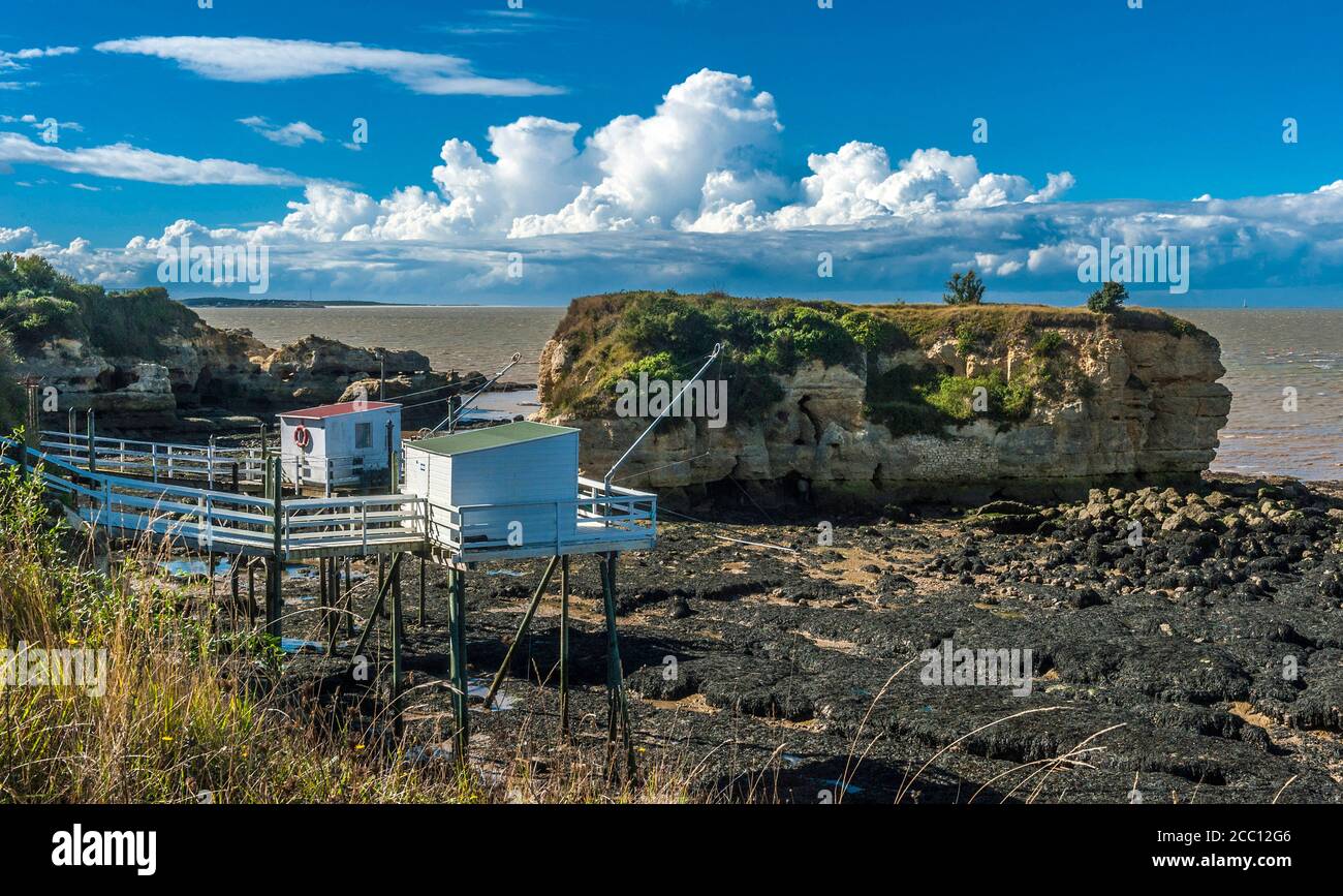 pics Logo Mouettes Charente Maritime alamy