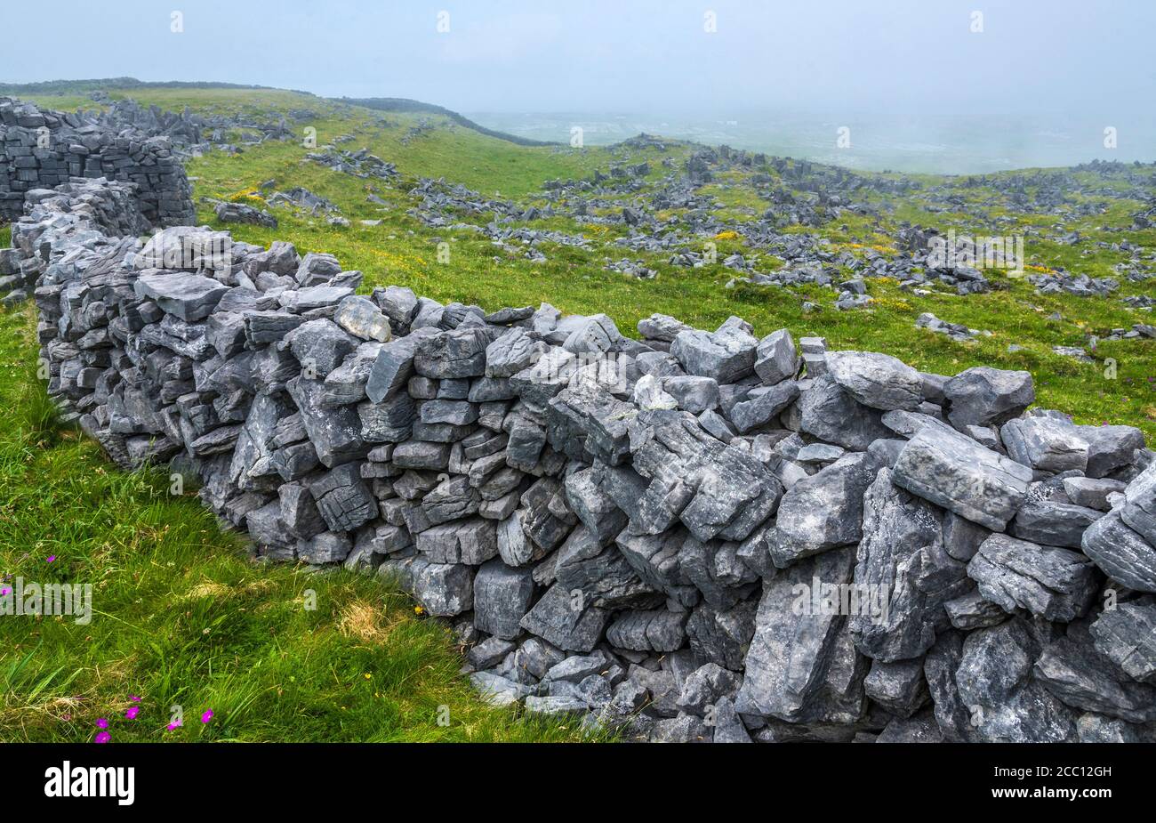 Sea cliffs aran islands hi-res stock photography and images - Alamy