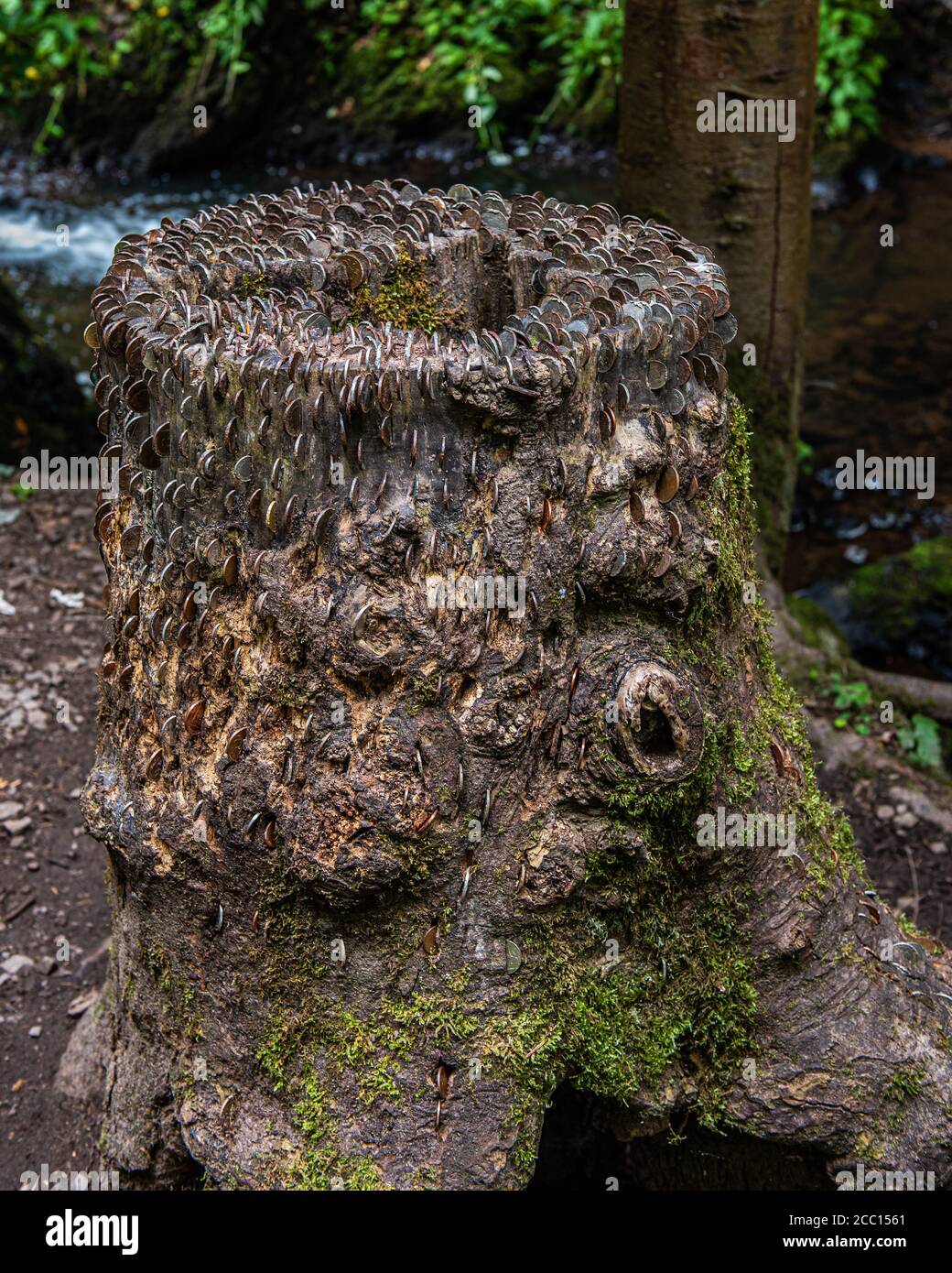 Superstition hires stock photography and images Alamy