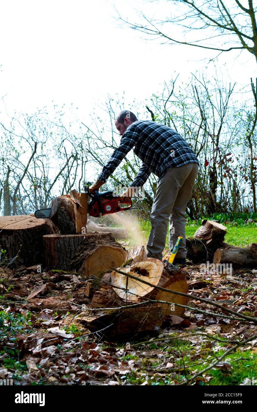 Man cutting tree logs chainsaw hi-res stock photography and images - Alamy