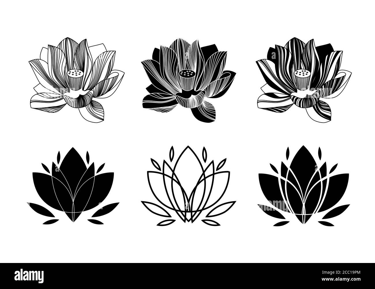 Water Lily Illustration Black and White Stock Photos & Images - Alamy