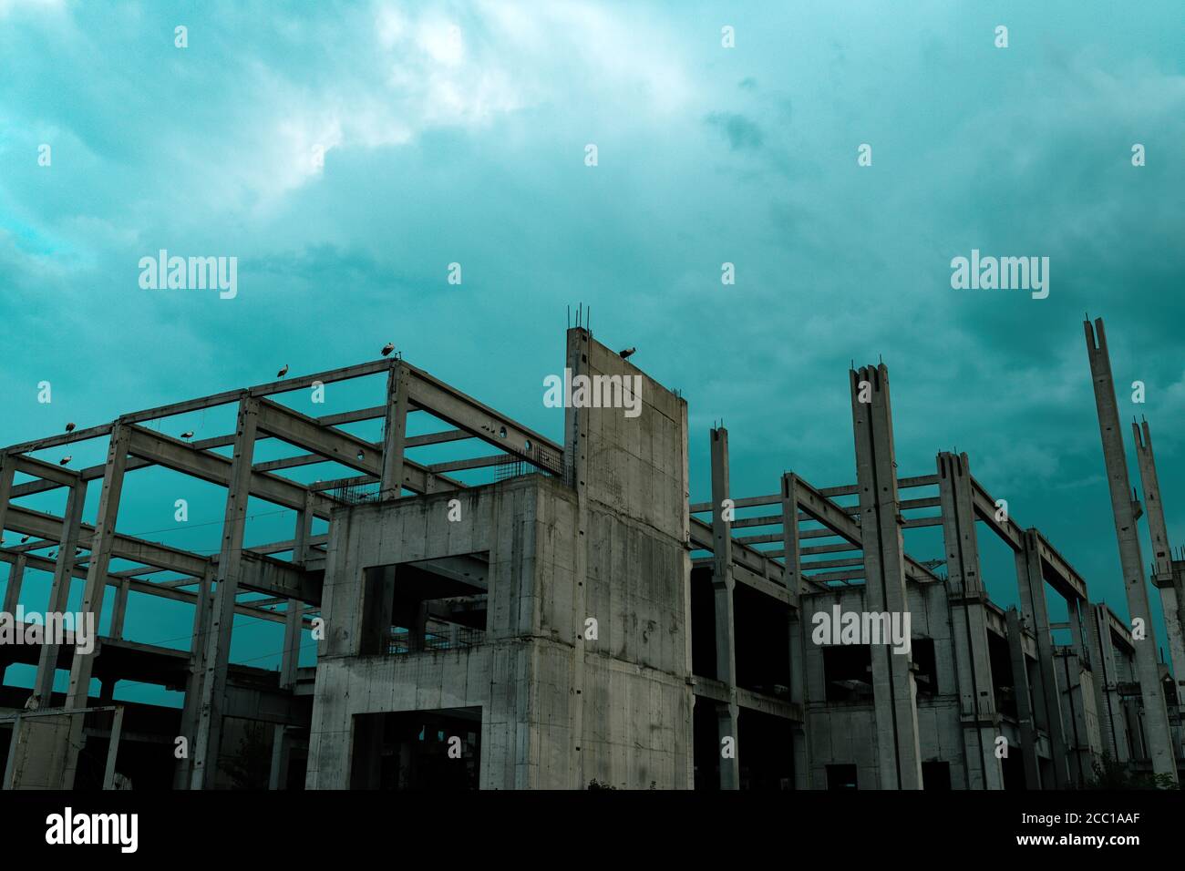 Storks on unfinished concrete building in dusk, toned image Stock Photo