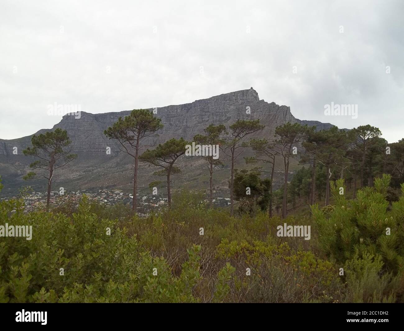 View from below of table mountain from signal hill in cape town south africa. Stock Photo