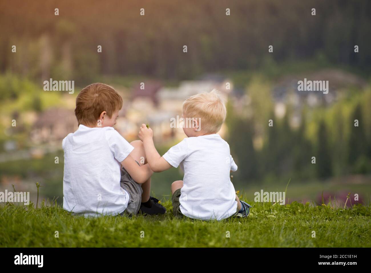 Two boys sit on a hill and have fun. Back view Stock Photo - Alamy