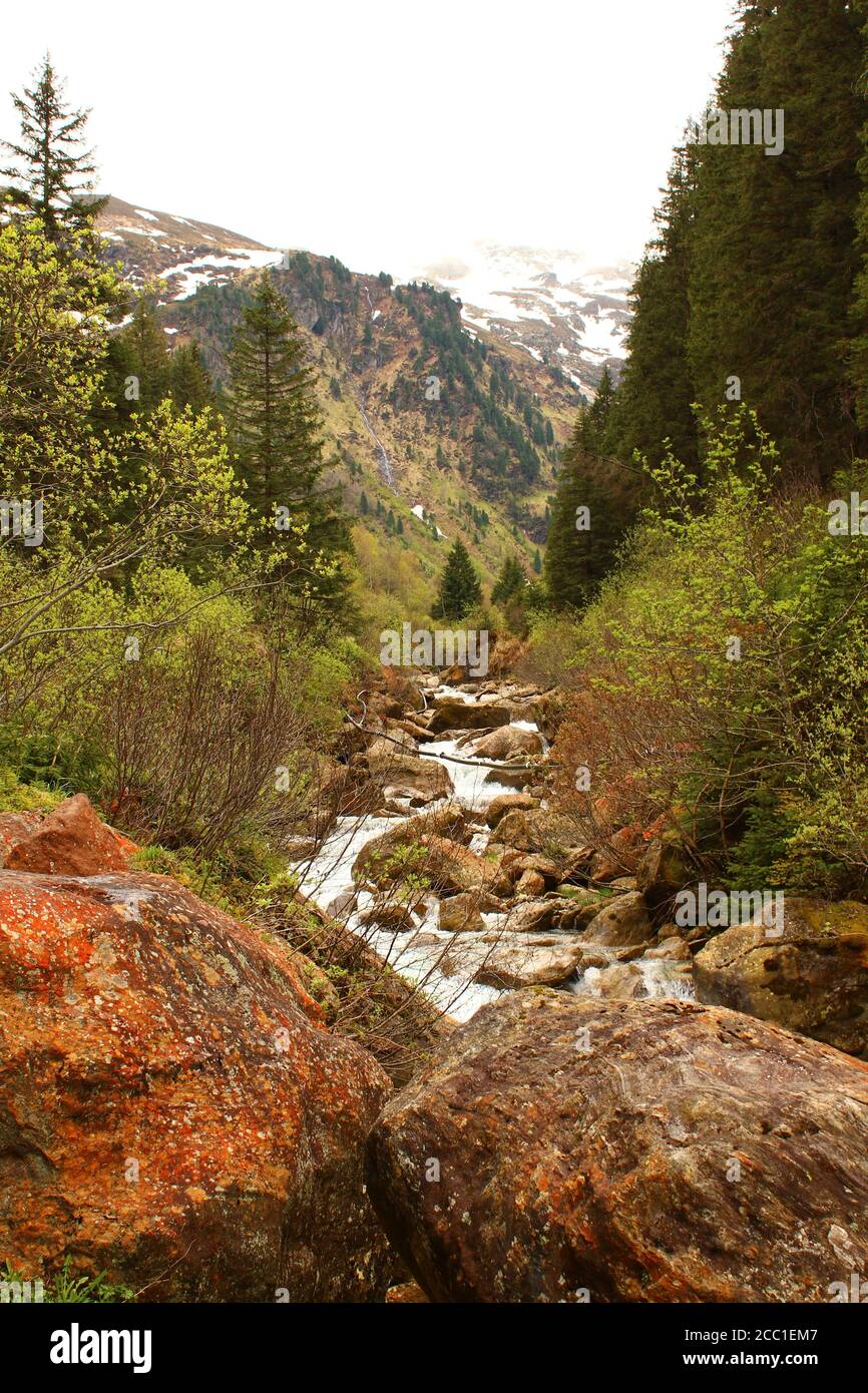 Small creek in alpine landscape in Tyrol, Austria Stock Photo