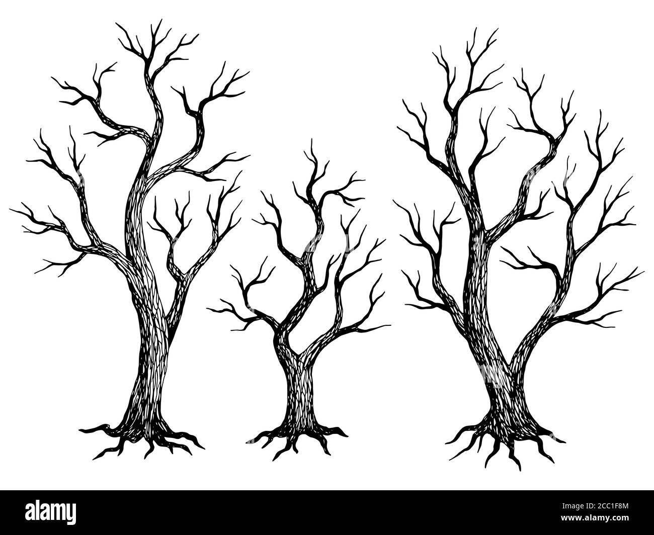 How to draw a tree (Without leaves) - Step by step - YouTube