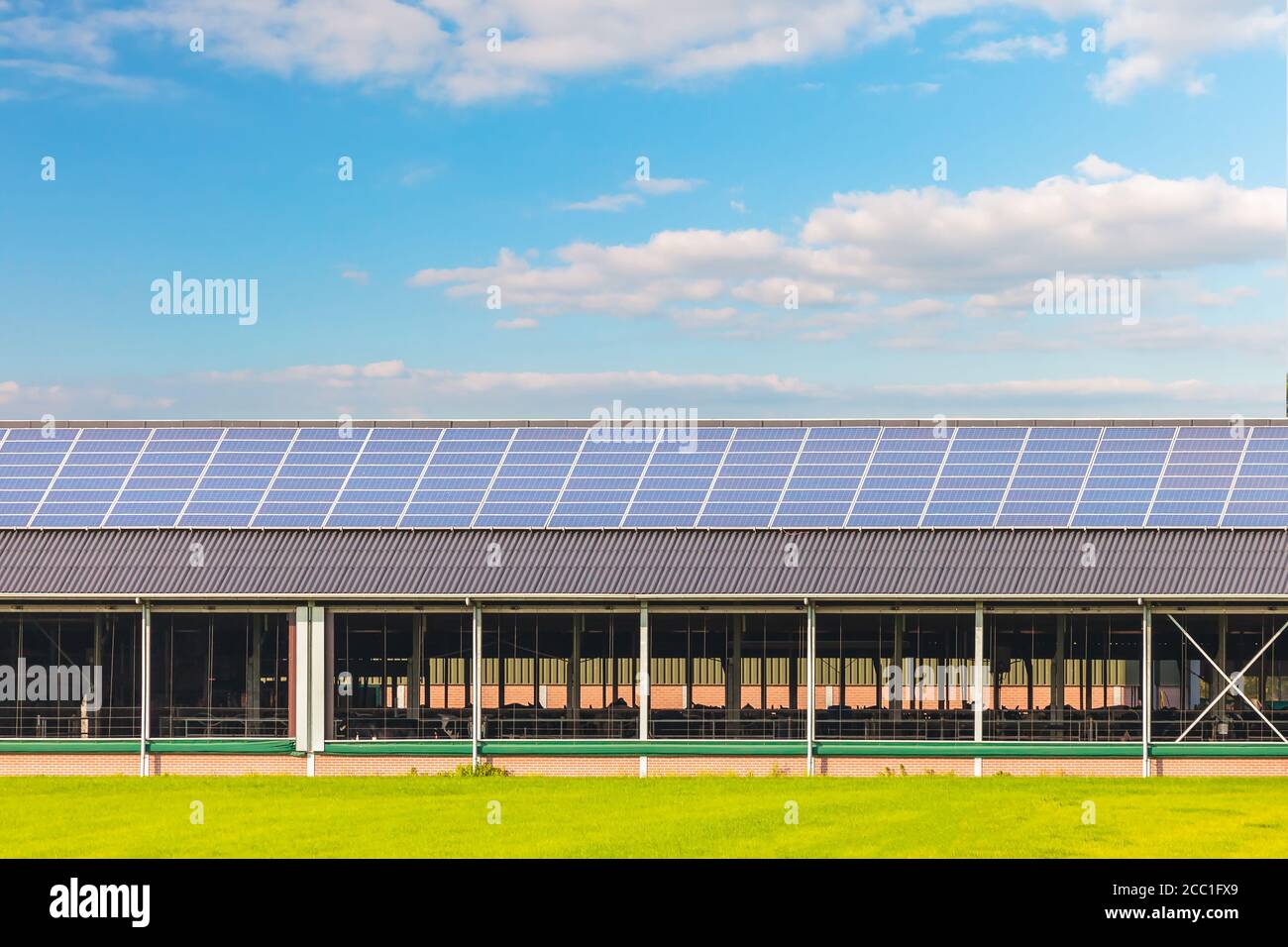 Solar panels on a new farm barn in The Netherlands Stock Photo - Alamy