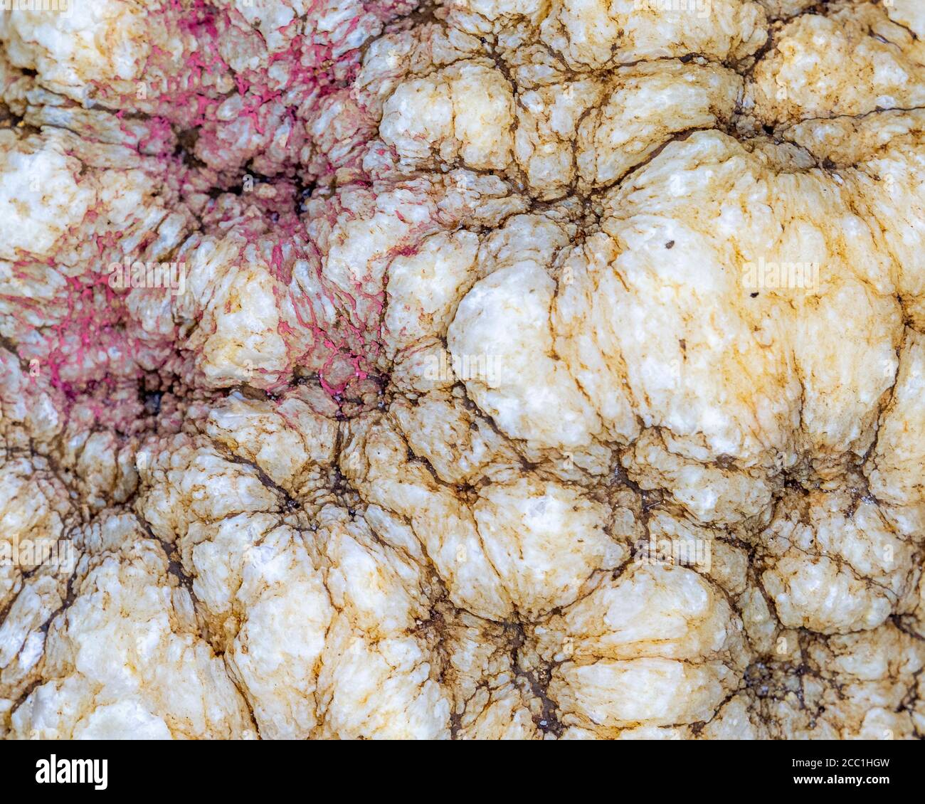Close up of marble with red and yellow in white background Stock Photo