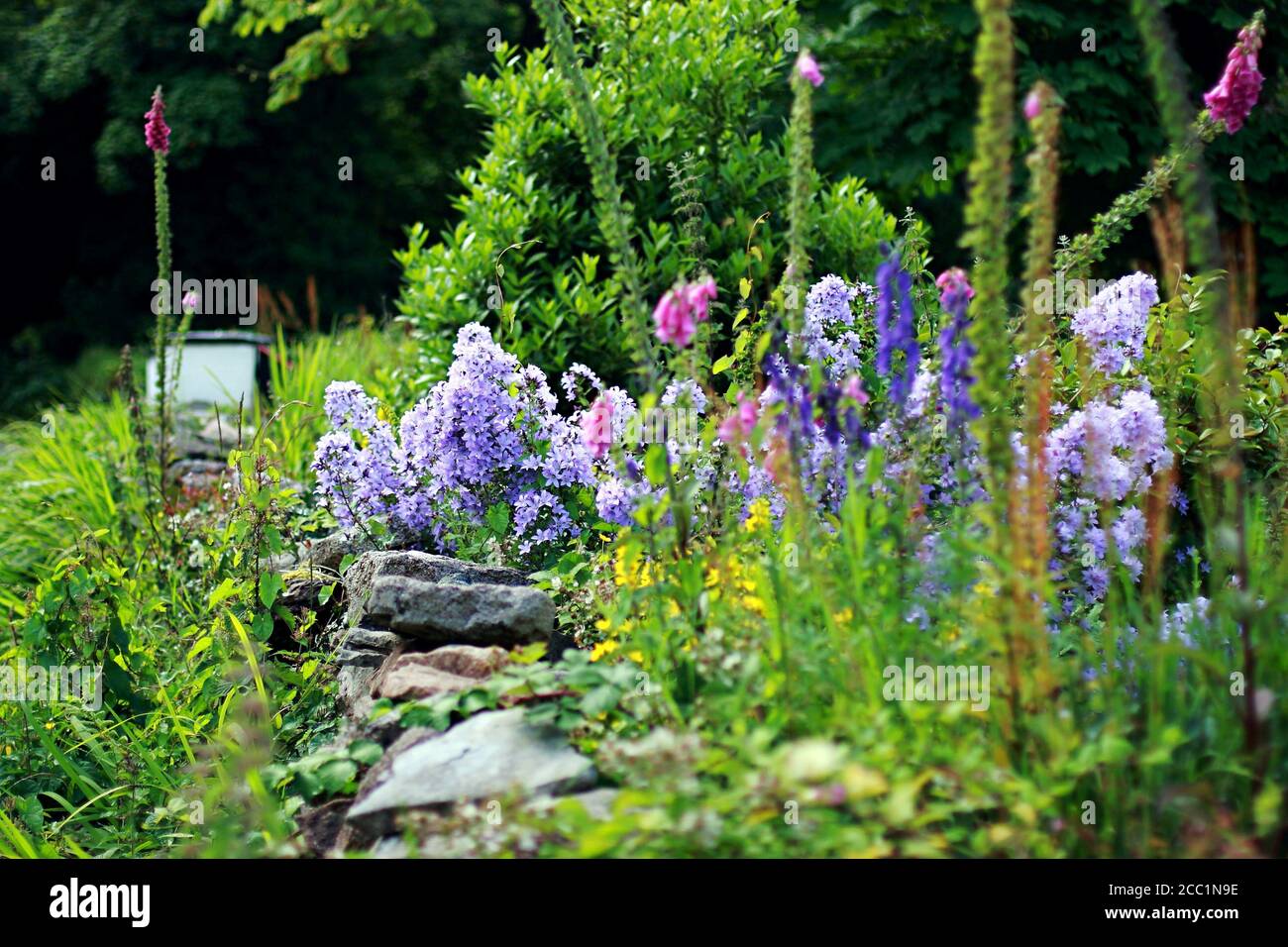 Over The Garden Wall High Resolution Stock Photography and Images Alamy
