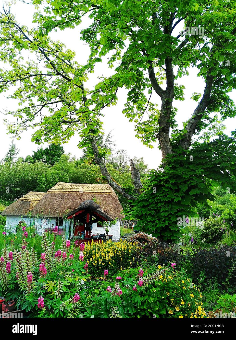 Old irish cottage hi-res stock photography and images - Alamy