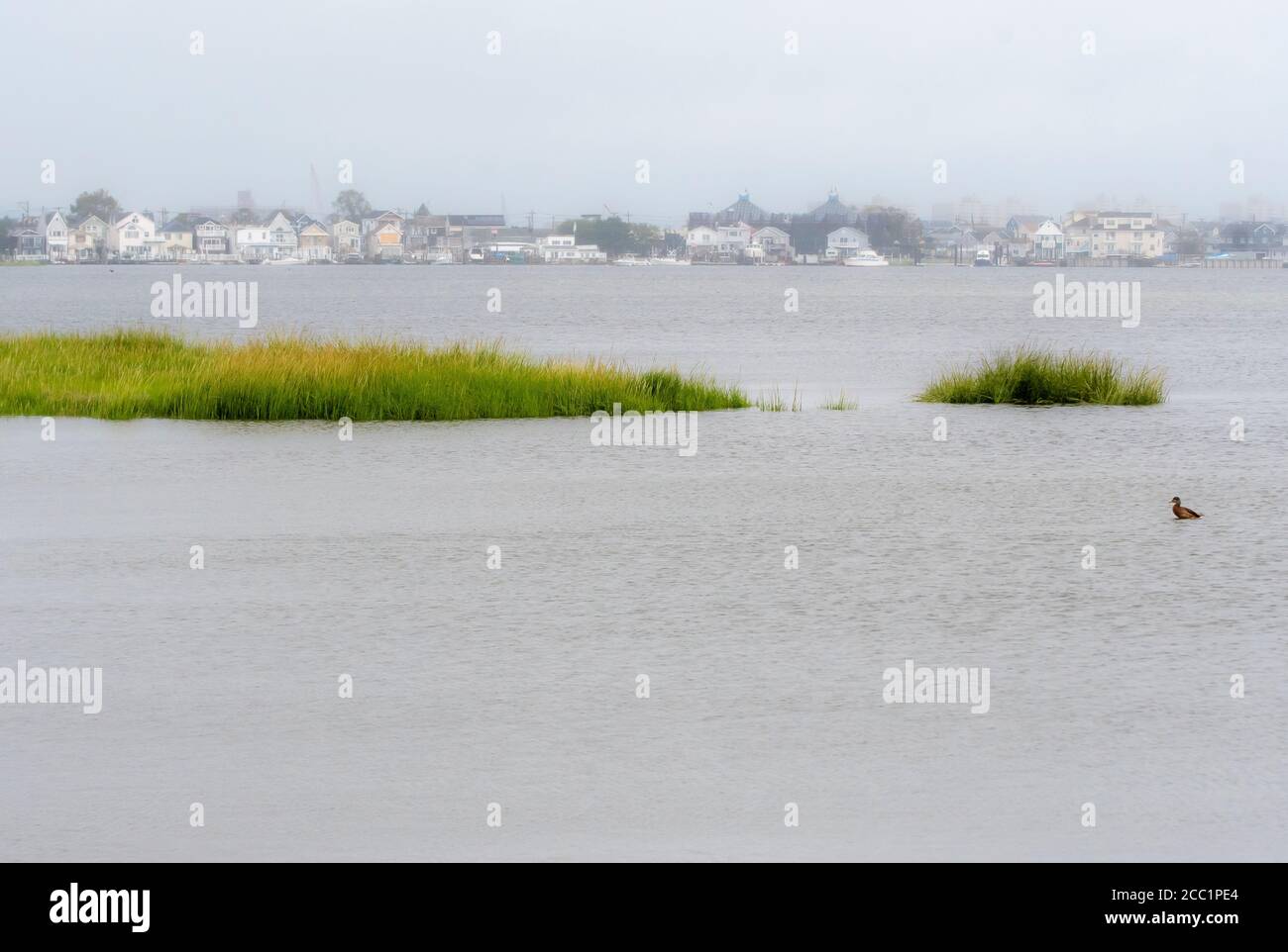 View of Jamaica Bay with salt marsh spartina grasses and view of Broad Channel, Queens, New York at high tide Stock Photo