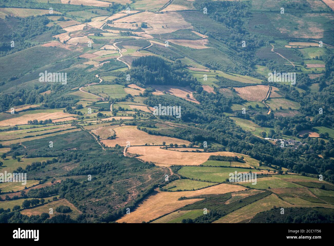 Cereal fields alternate with plots of pasture for cattle in rural Galicia Stock Photo