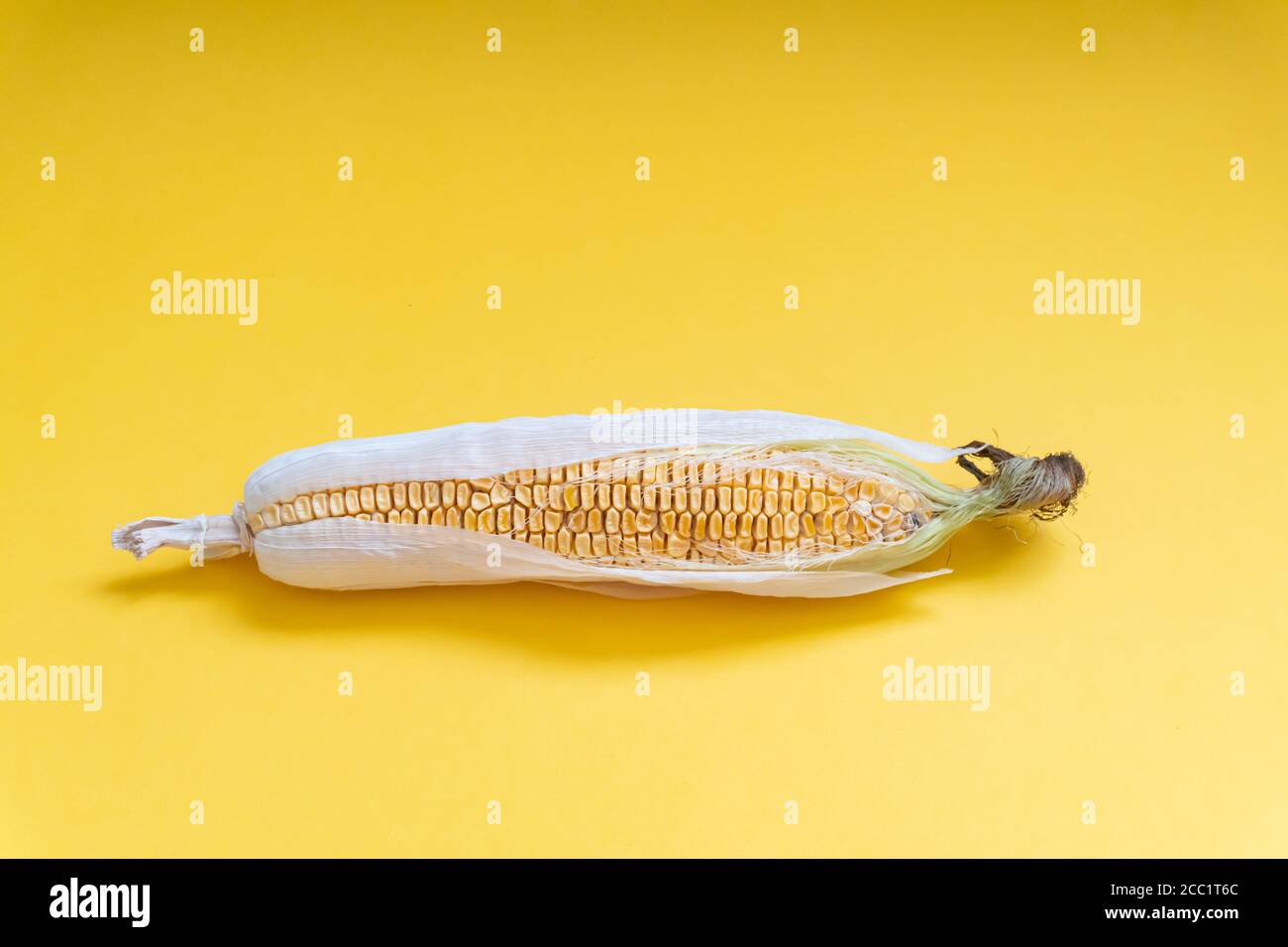 Muddle Corn View at moldy dried corn at yellow background Stock Photo - Alamy