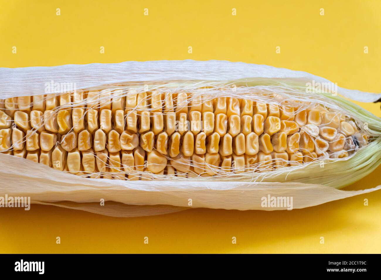 Closeup of moldy dried corn at yellow background Stock Photo Alamy