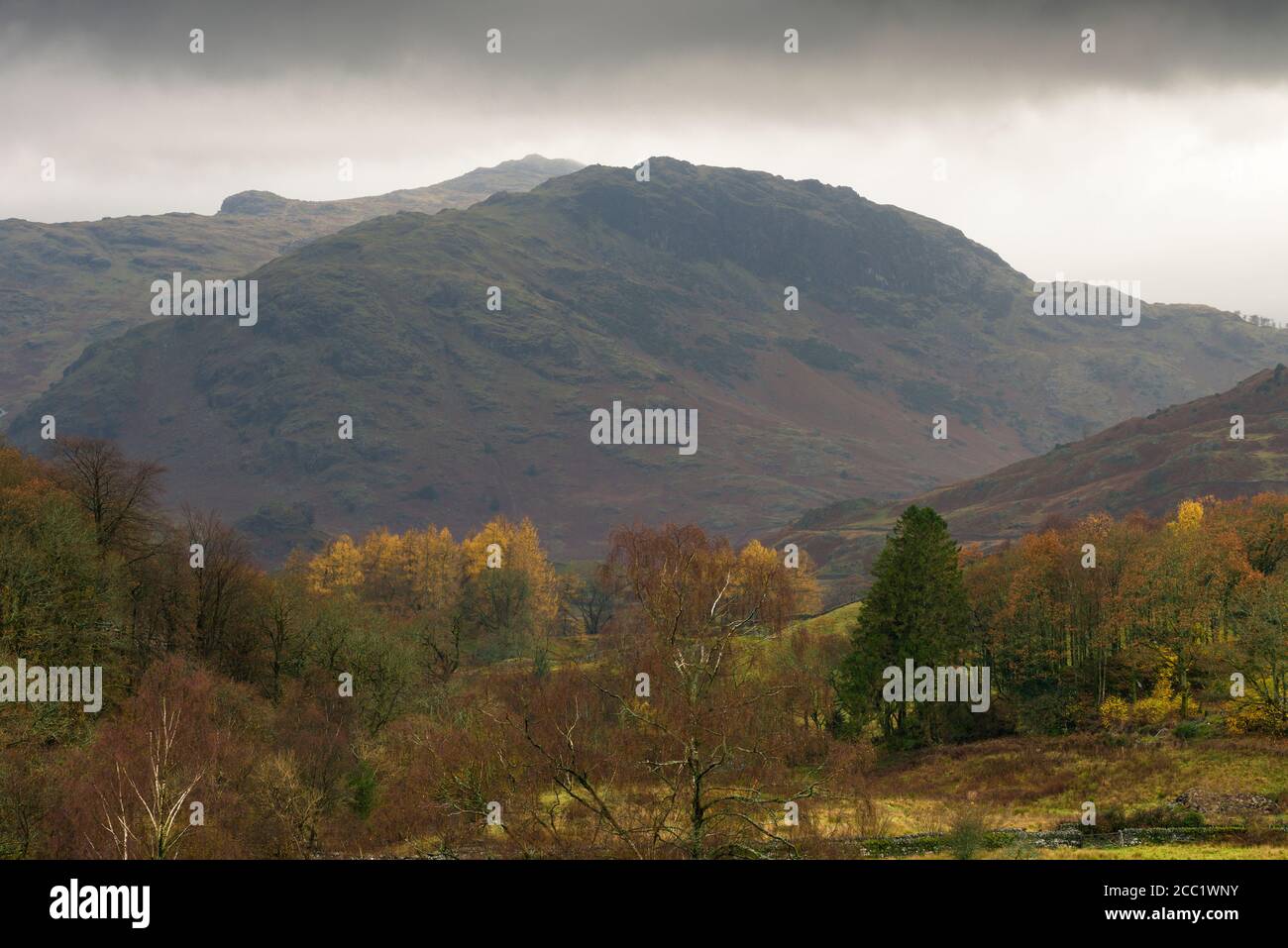 Wrynose Fell viewed from across the Little Langdale valley in the Lake District National Park, Cumbria, England. Stock Photo