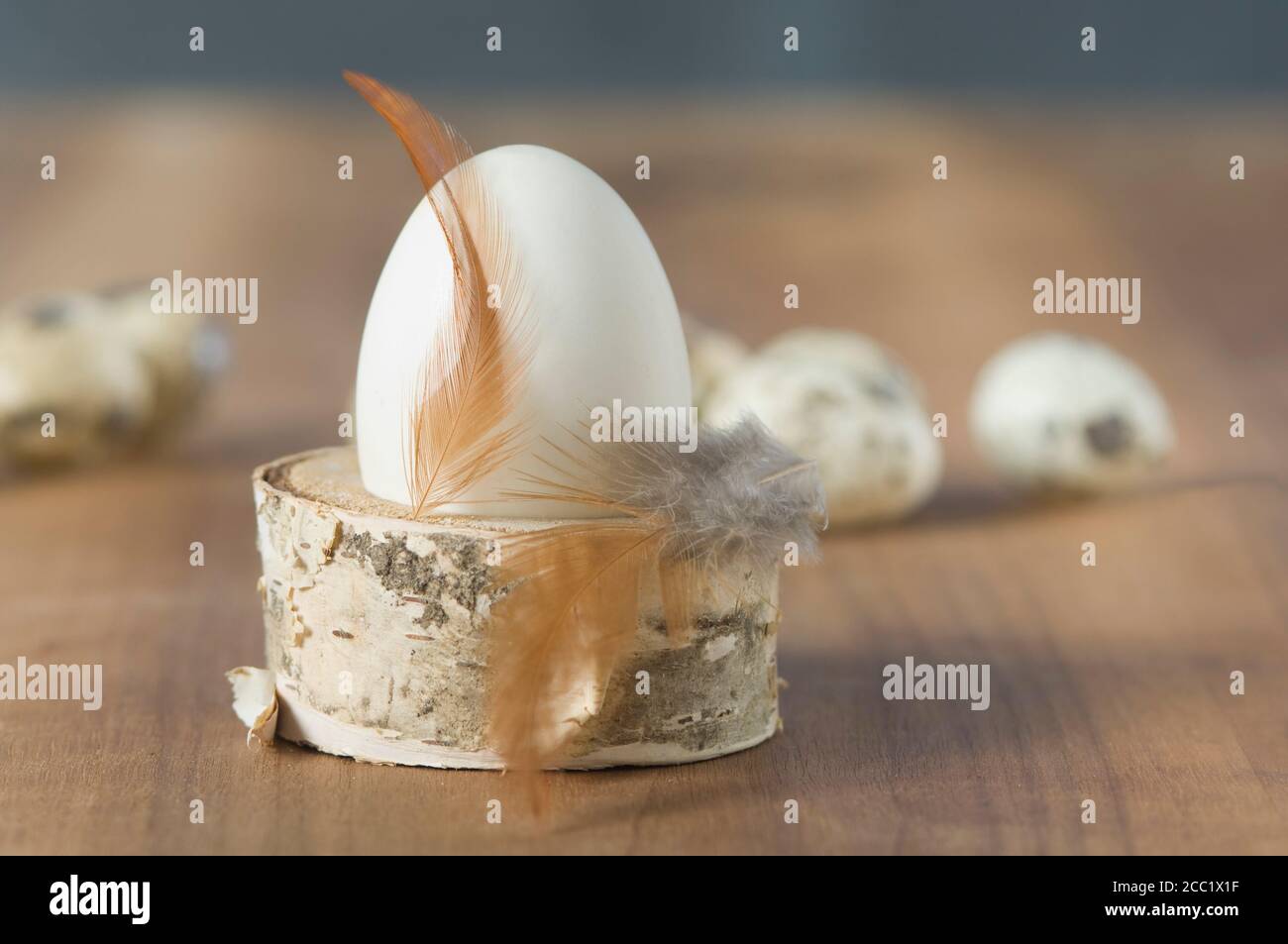 Easter eggs with Quail egg, feather on wood Stock Photo