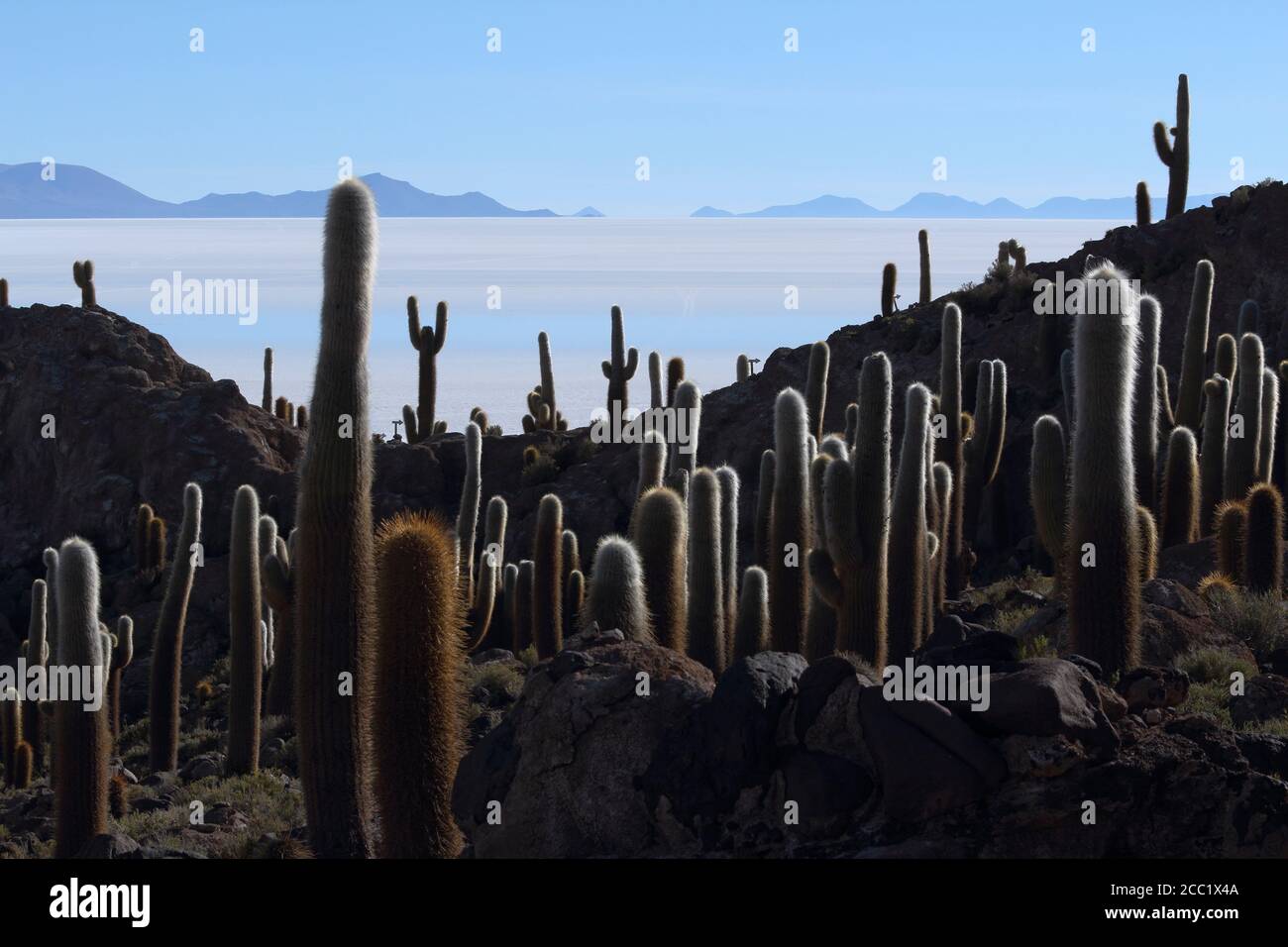 Bolivia, View of Salar de Uyuni and Isla del Pescado Stock Photo