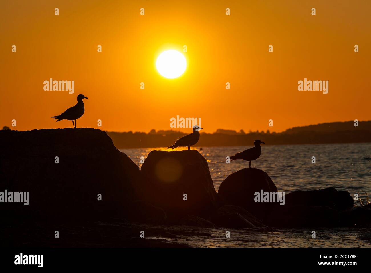 Germany, Schleswig Holstein, View of Baltic Sea at sunset Stock Photo