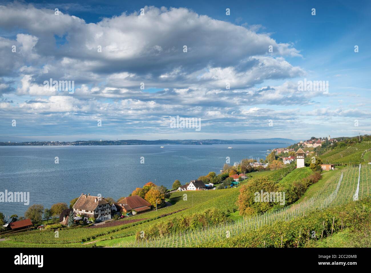 Germany, Baden Wuerttemberg, View of Rebgut Haltnau vineyard at Lake Constance Stock Photo