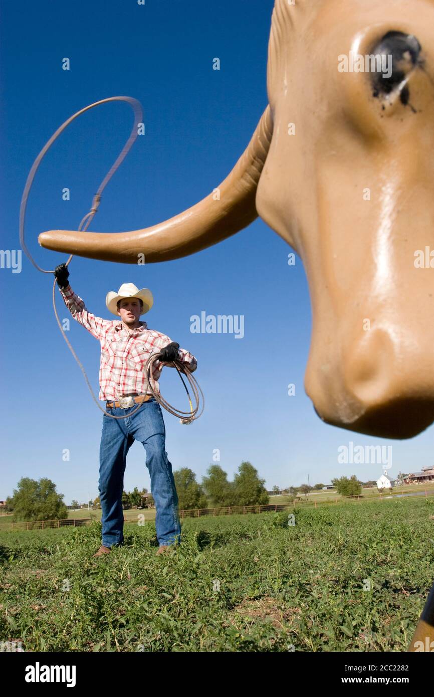 USA, Texas, Dallas, Cowboy using lasso Stock Photo