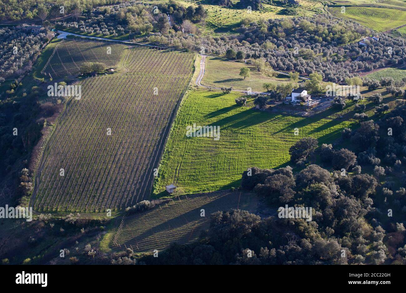 Spain, Ronda, View of field Stock Photo - Alamy