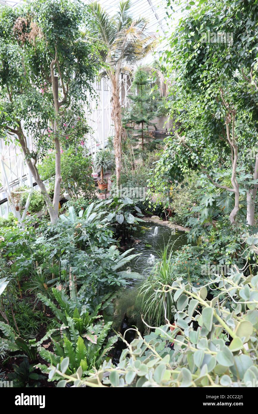 Barbican conservatory Stock Photo
