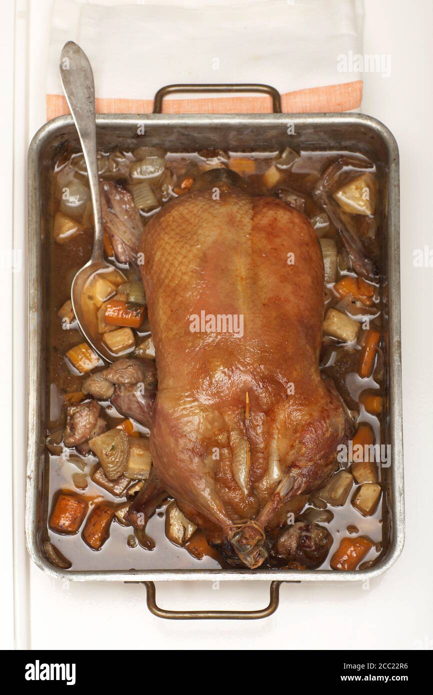 Roast duck in roasting tray, elevated view Stock Photo Alamy
