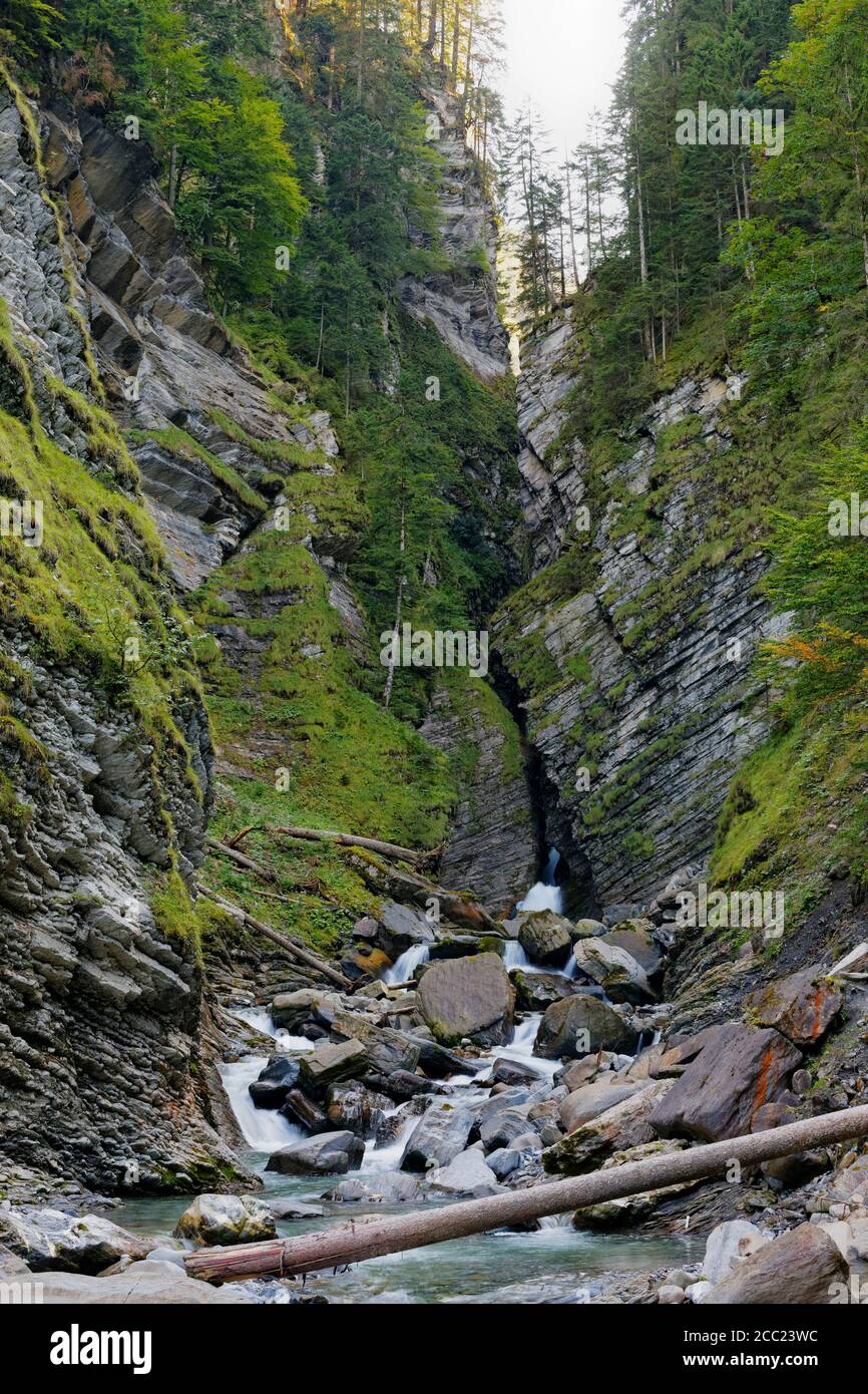 Austria, Vorarlberg, View of waterfall at Bregenz Forest Stock Photo