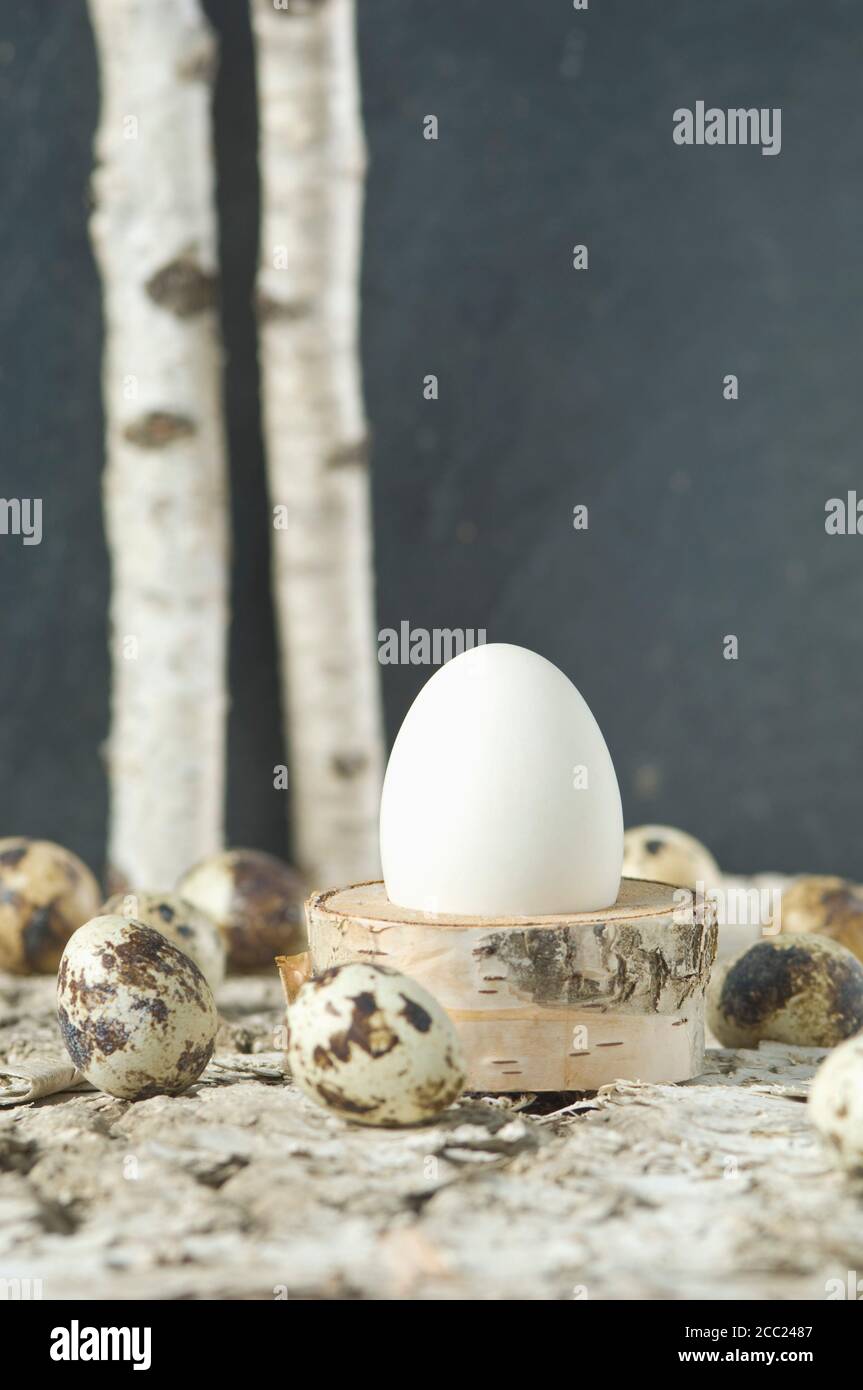 Easter egg in egg cup with Quail eggs Stock Photo
