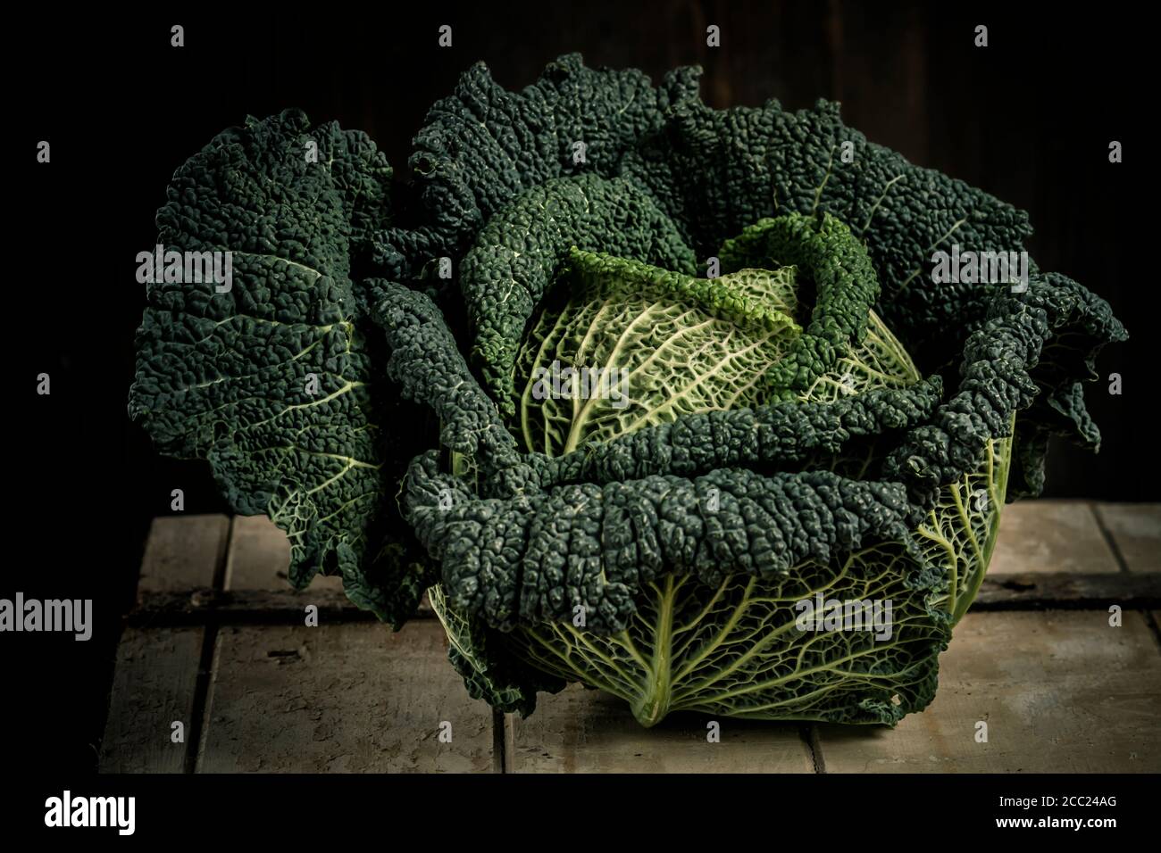 Savoy cabbage against black background Stock Photo