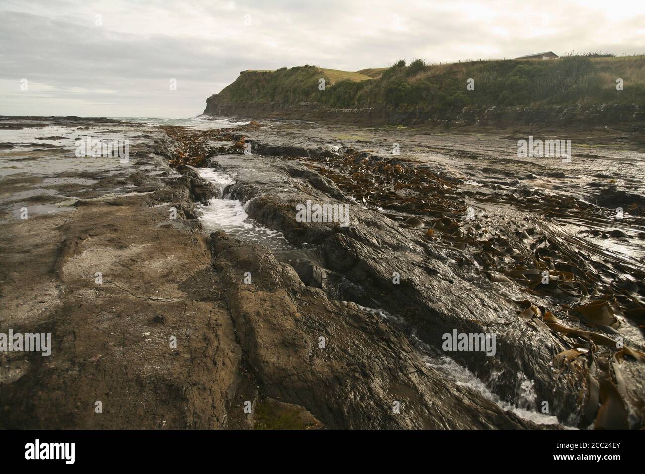 New Zealand Rocky Coast Stock Photo Alamy new-zealand-rocky-coast-stock-photo-alamy