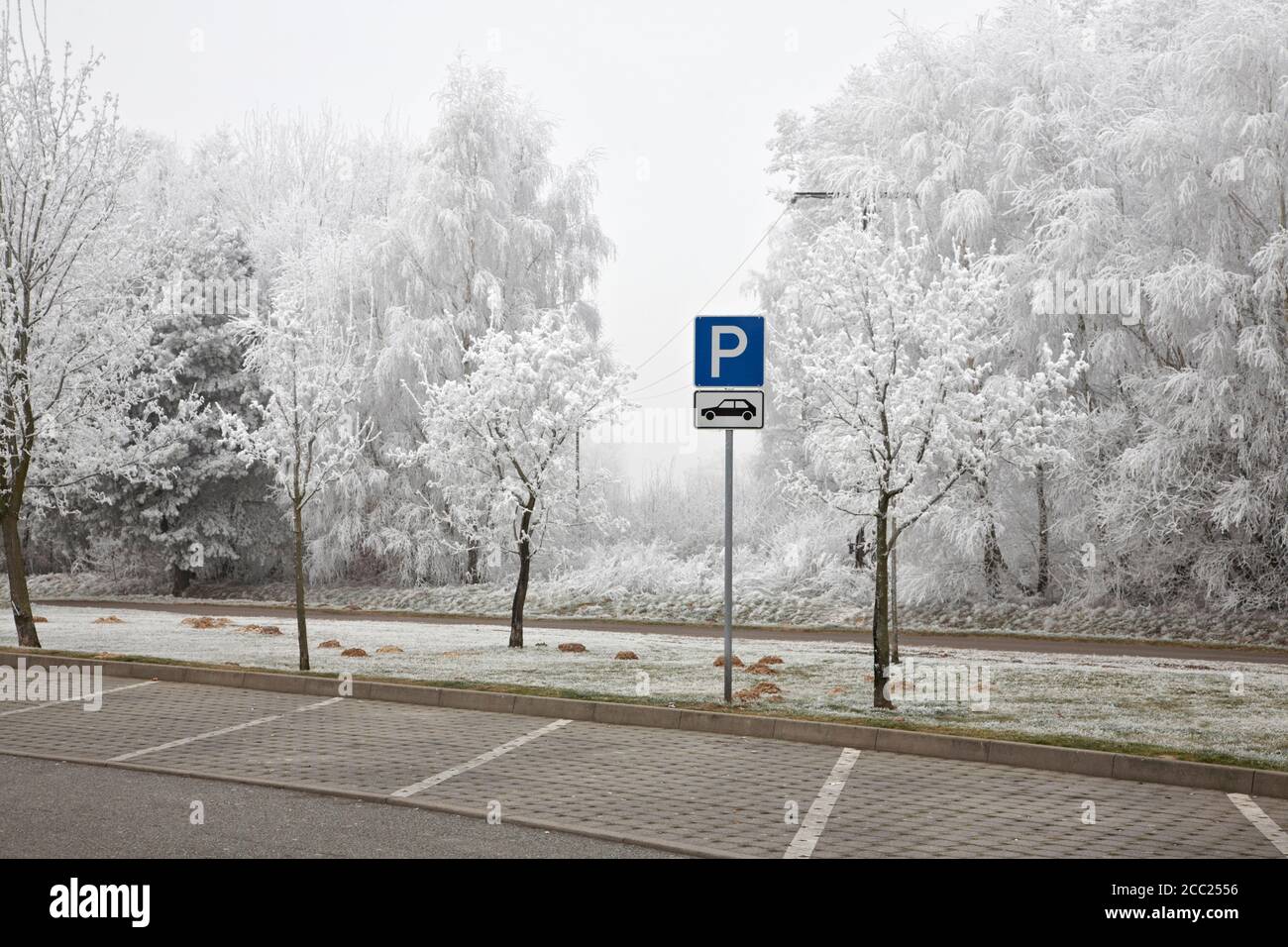 Germany, Parking sign in parking area Stock Photo Alamy