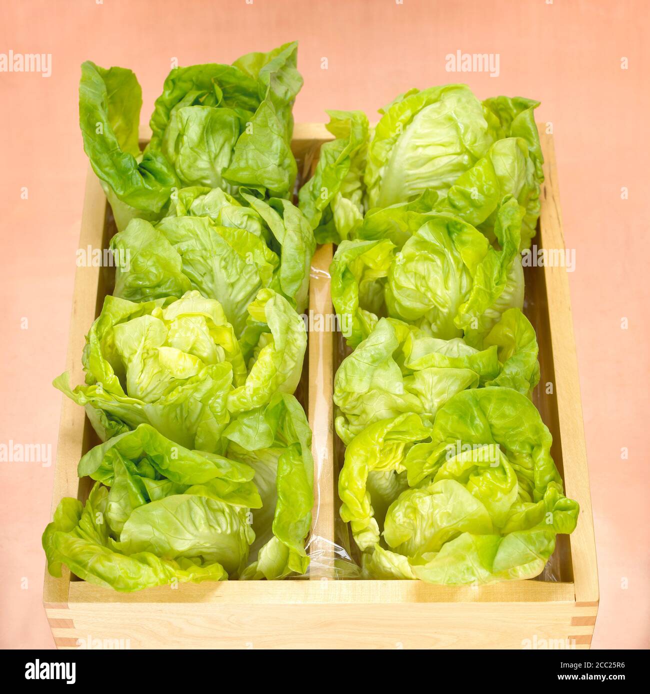 Romaine lettuce box hires stock photography and images Alamy