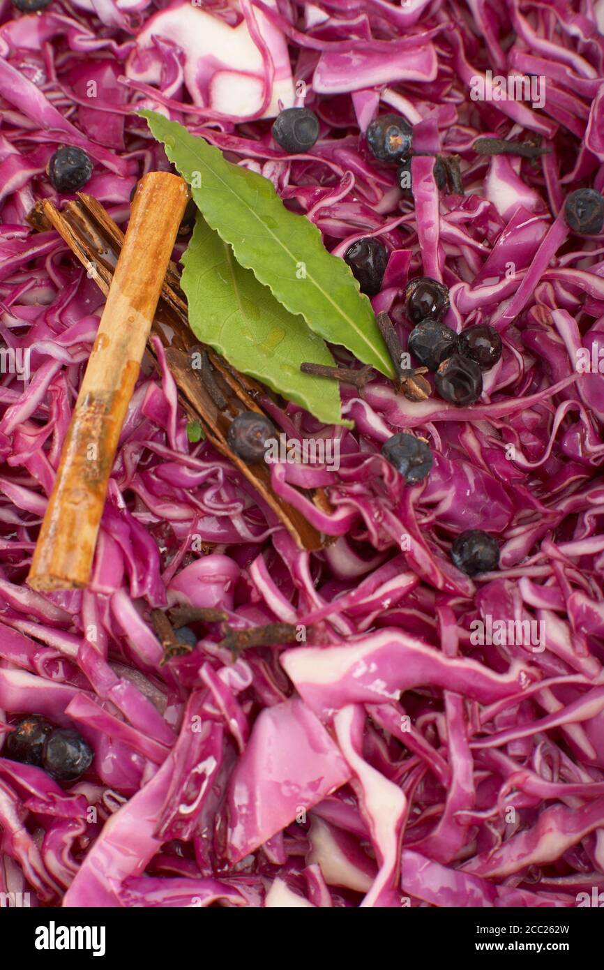 Red cabbage, cinnamon, bay leaves and juniper berries, full frame Stock Photo
