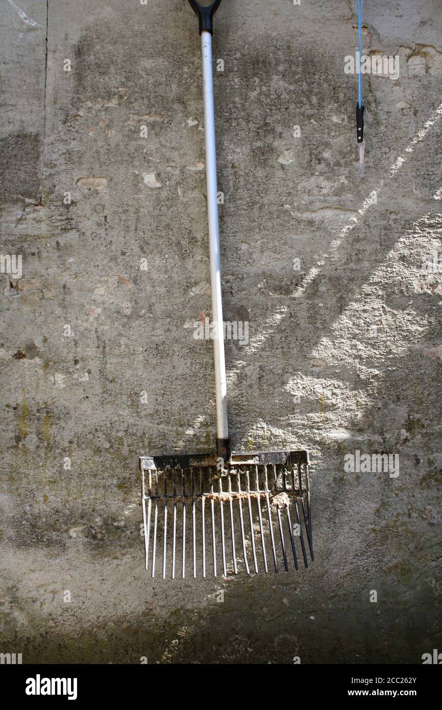 Rake hanging on grey house wall Stock Photo - Alamy
