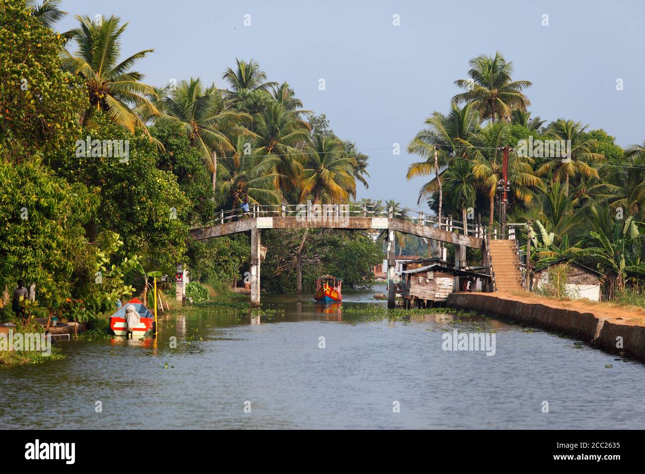 India, Kerala, Alappuzha, View of backwaters of alleppey Stock Photo