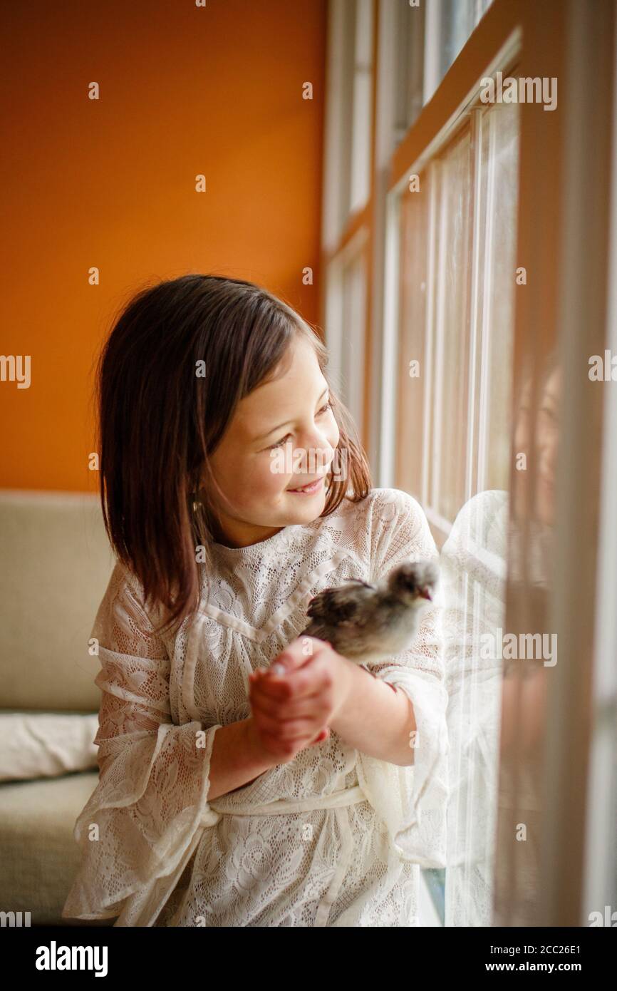 A smiling little girl holds baby chicken up to the window to look out Stock Photo