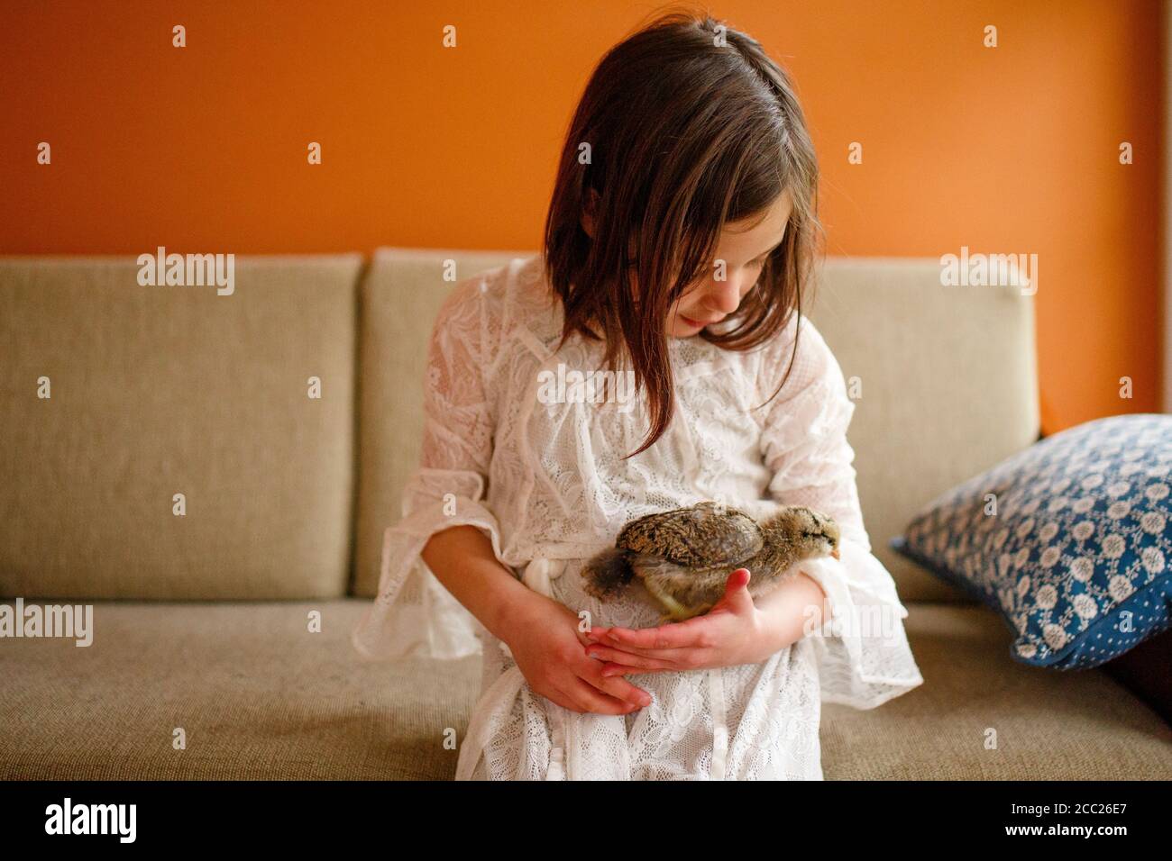 A small child sits with a small chick tenderly cradled in her arms Stock Photo