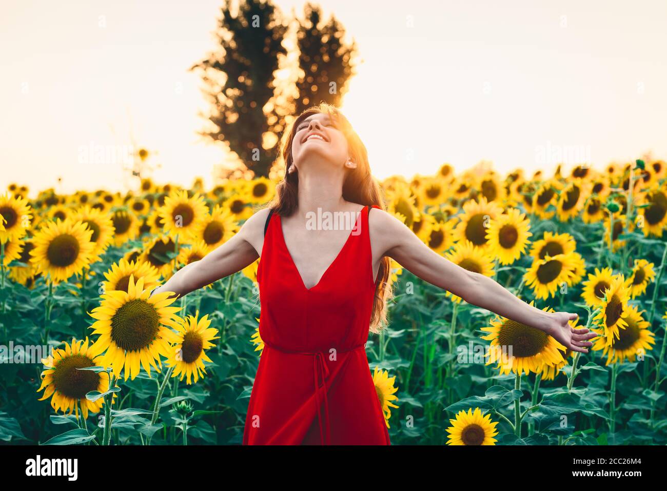 Beautiful woman with long hair in a field of sunflowers. Active, raise Stock Photo