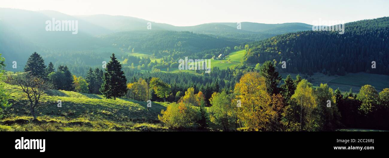 Germany, Baden-Württemberg, Schwarzwald, Woodland, Feldberg in background Stock Photo