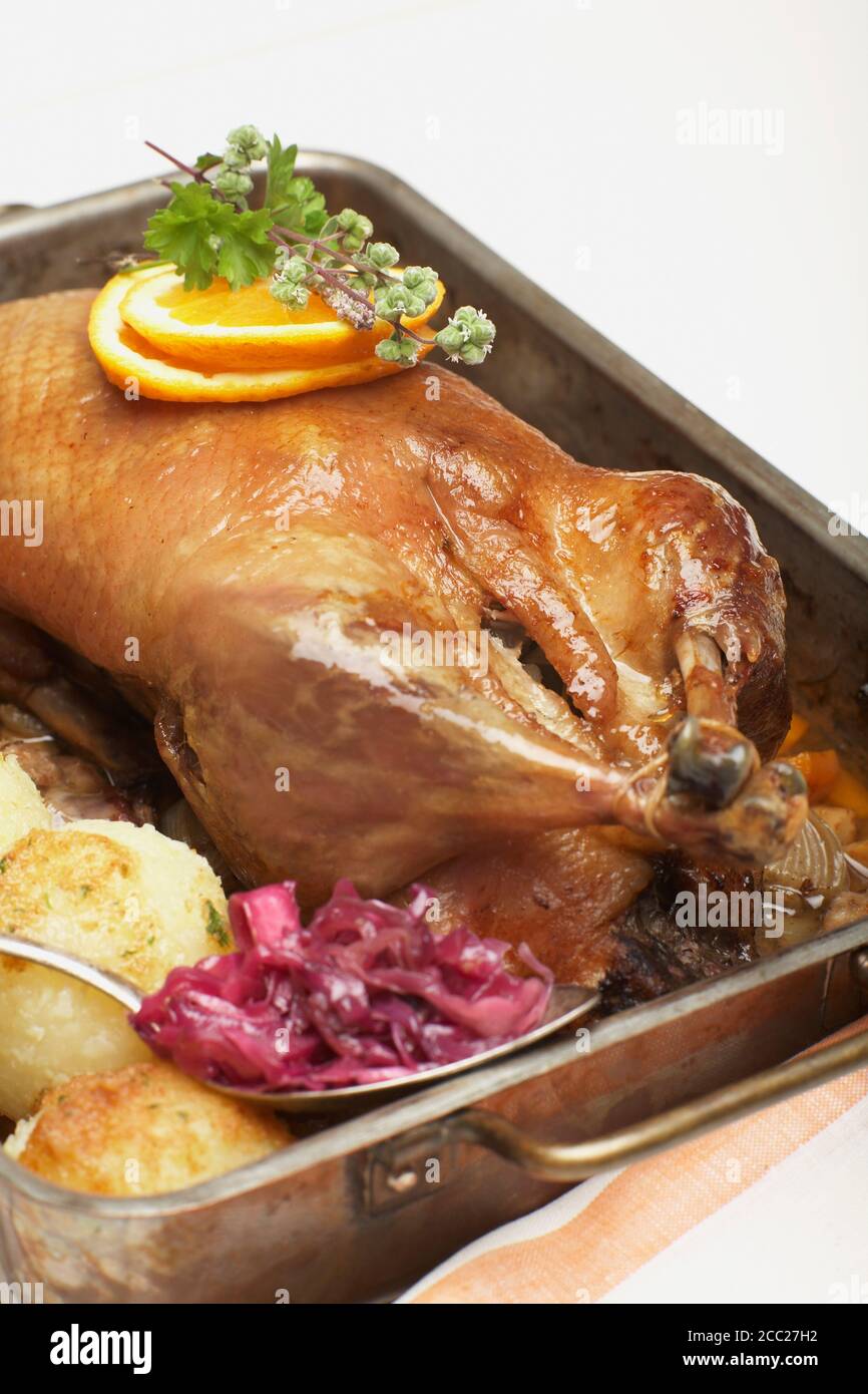 Roast duck in roasting tray, closeup Stock Photo Alamy
