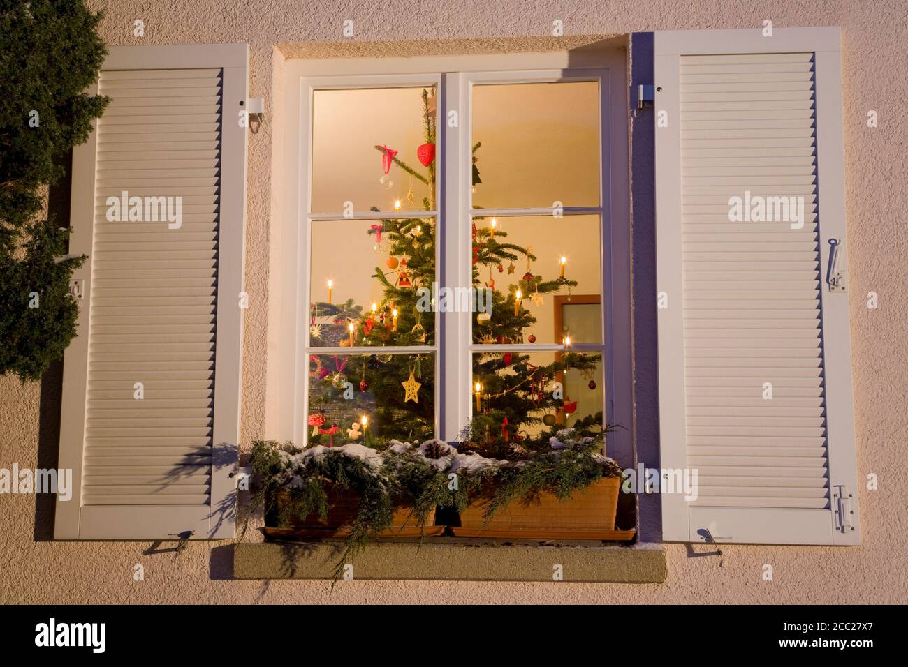 Louis Vuitton Christmas Window Display Paris Stock Photo - Download Image  Now - Penguin, Window, Christmas - iStock