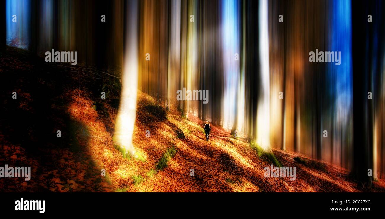 People walking on pathway hi-res stock photography and images - Alamy