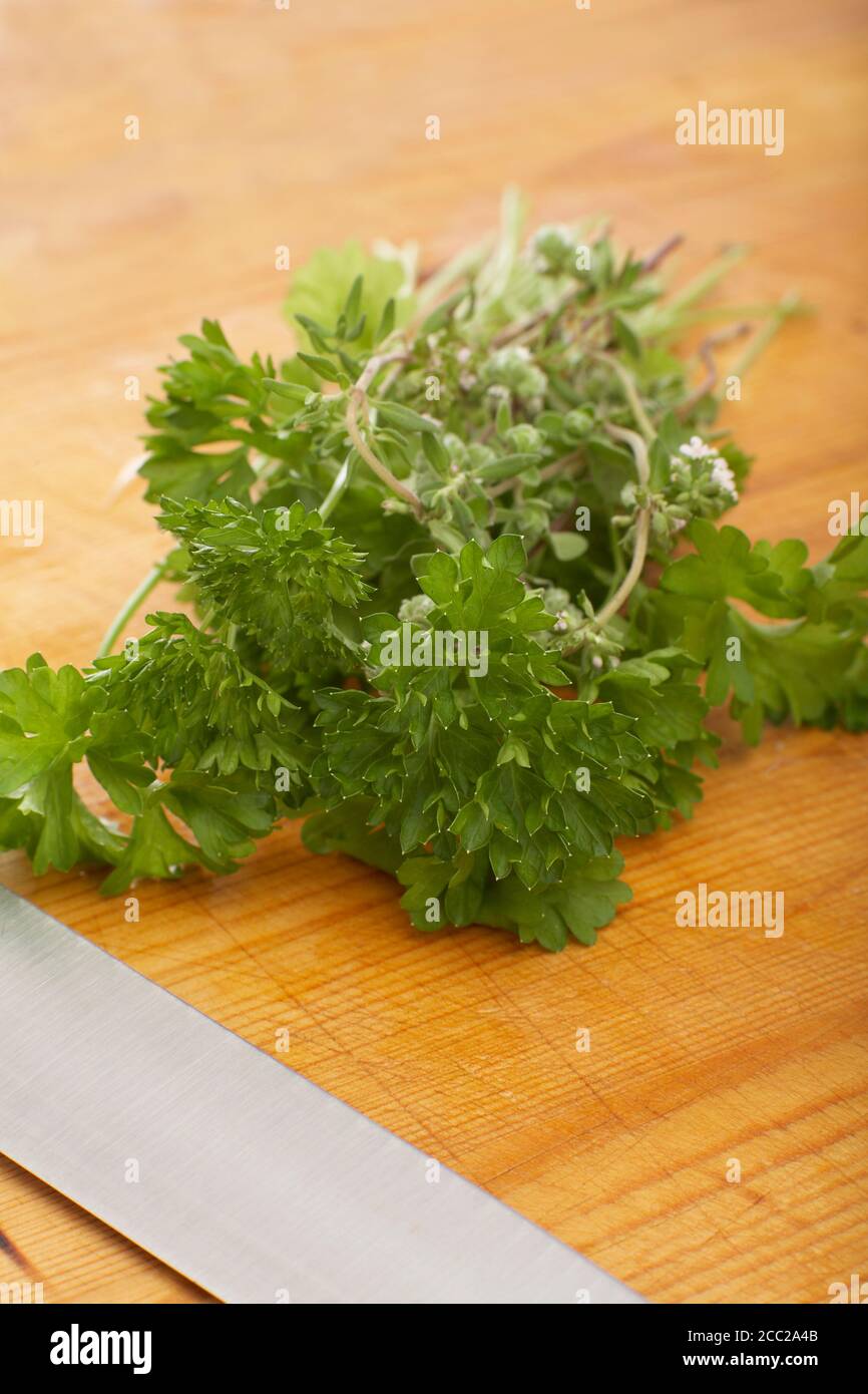 Kitchen herbs Stock Photo