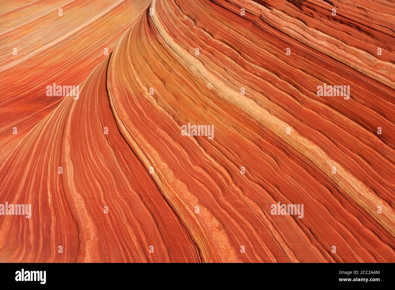 USA, Arizona, Colorado Plateau, Vermilion Cliffs, Sandstone formation, close up Stock Photo