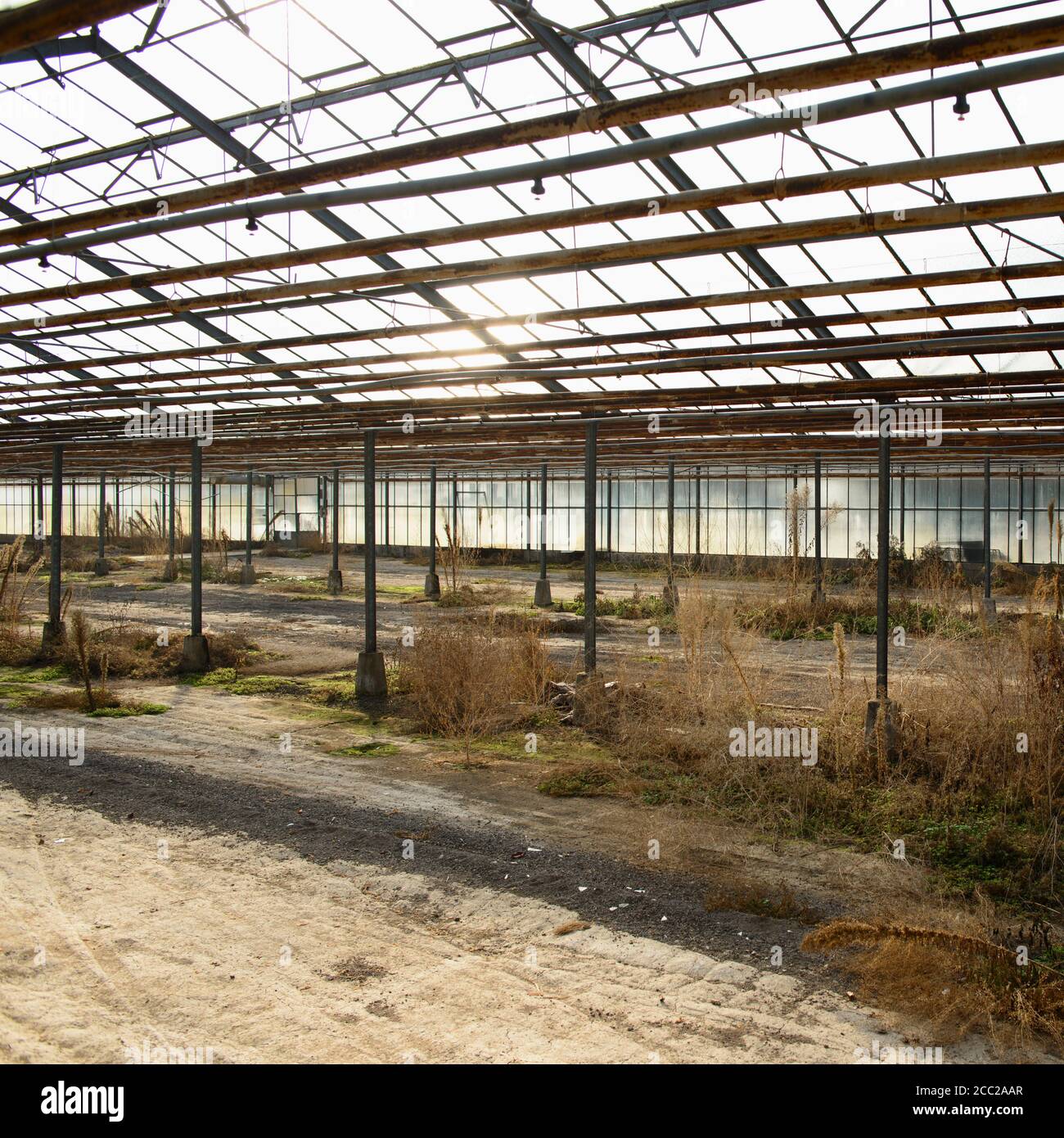 Germany, Borschemich, Greenhouse out of function Stock Photo